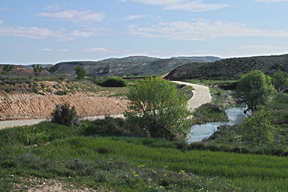 Ordenanza municipal de caminos